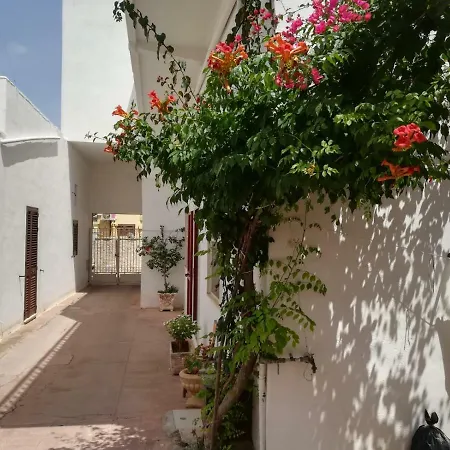 Nel Salento1 * ماتينو