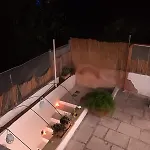 Ferienhaus Nel Salento1 *
