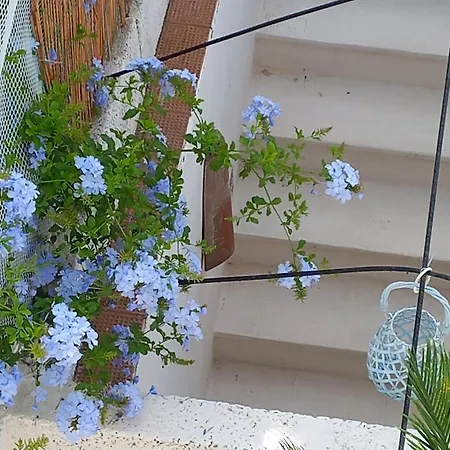 Nel Salento1 Holiday home